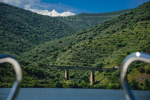 Passeio de Barco – Uma Viagem Pela Natureza e História - Image 7