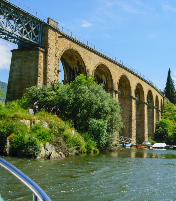 Passeio Privado de Barco - Exclusividade e charme no Douro - Image 10