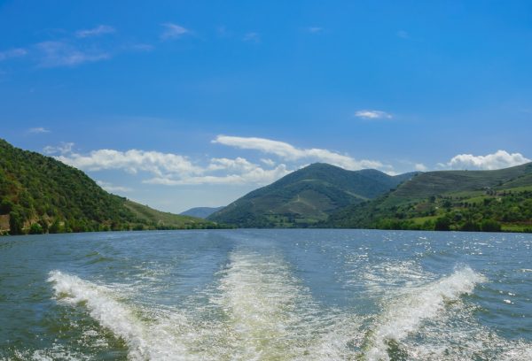 Passeio Privado de Barco - Exclusividade e charme no Douro - Image 11