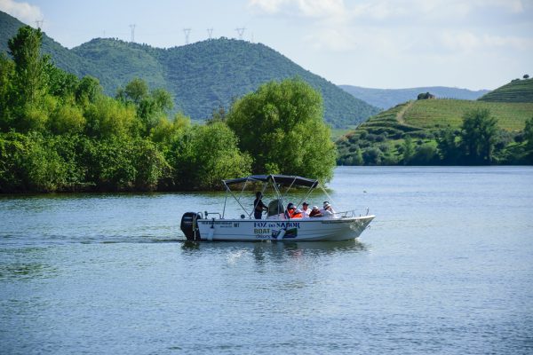 Passeio de Barco – Uma Viagem Pela Natureza e História - Image 11