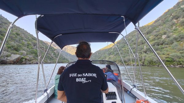 Passeio de Barco – Uma Viagem Pela Natureza e História - Image 10