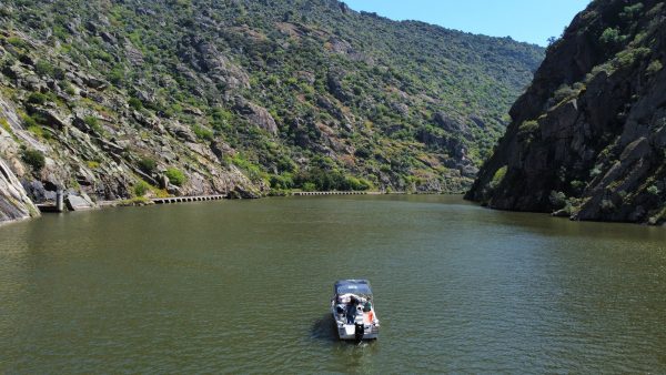 Passeio de Barco – Uma Viagem Pela Natureza e História - Image 9