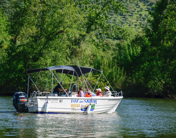 Aluguer de barco personalizado - Image 3