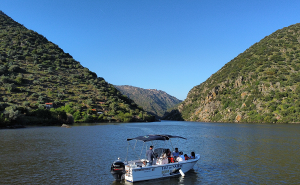 Passeio de Barco – Uma Viagem Pela Natureza e História