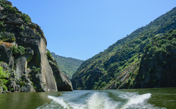 Passeio Privado de Barco - Exclusividade e charme no Douro